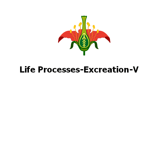 Life Processes-Excreation-V